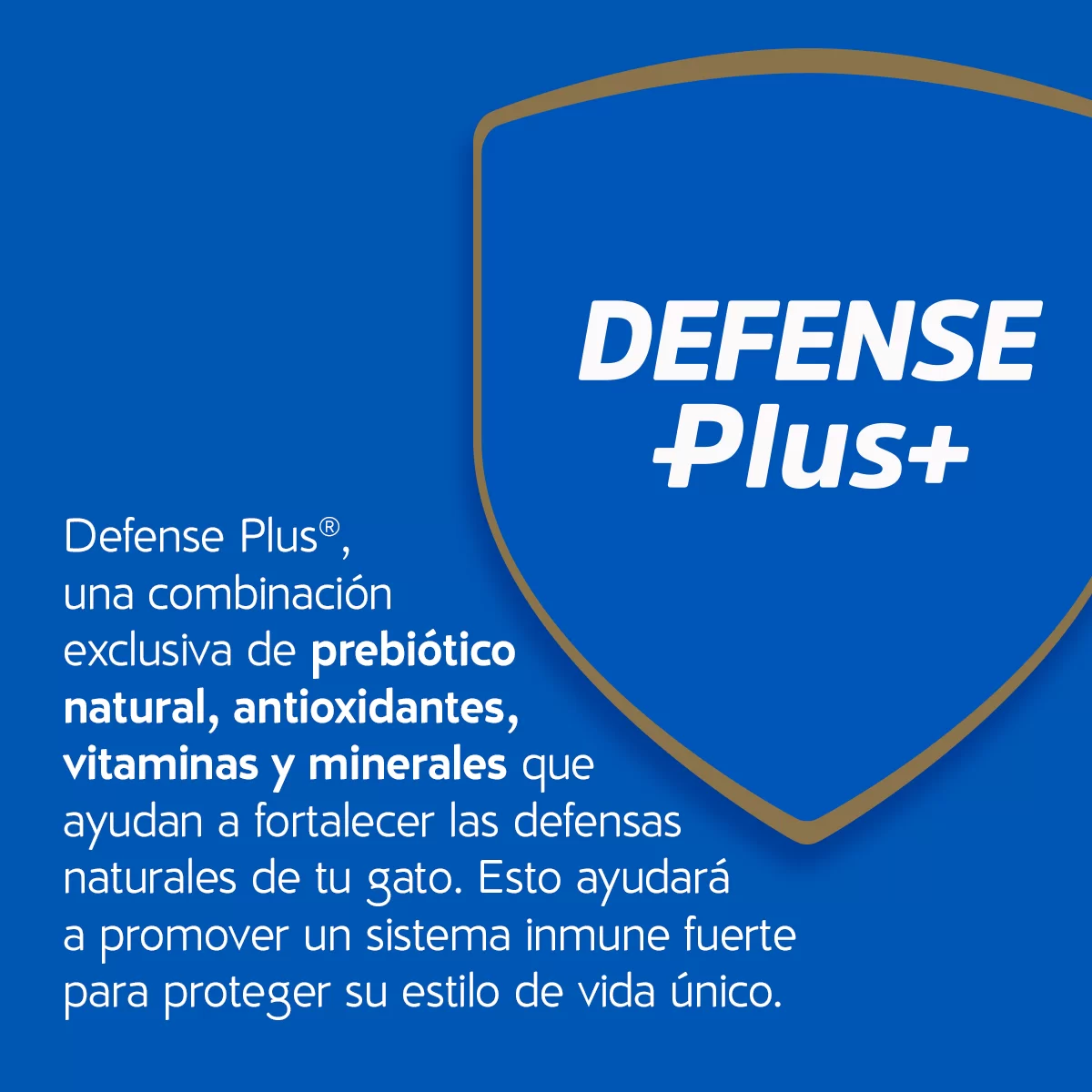 Imagen del producto 10