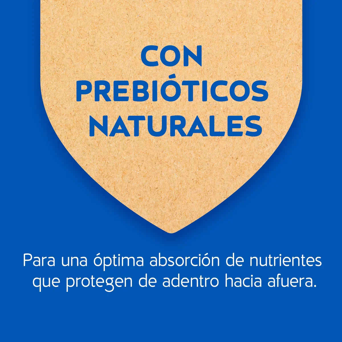 Imagen del producto 9