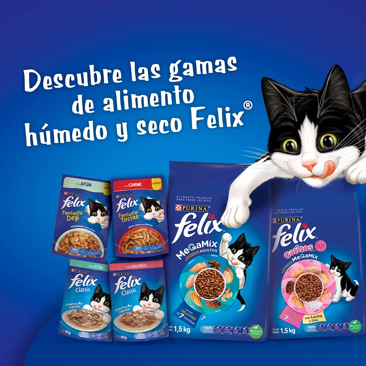 Imagen del producto 10