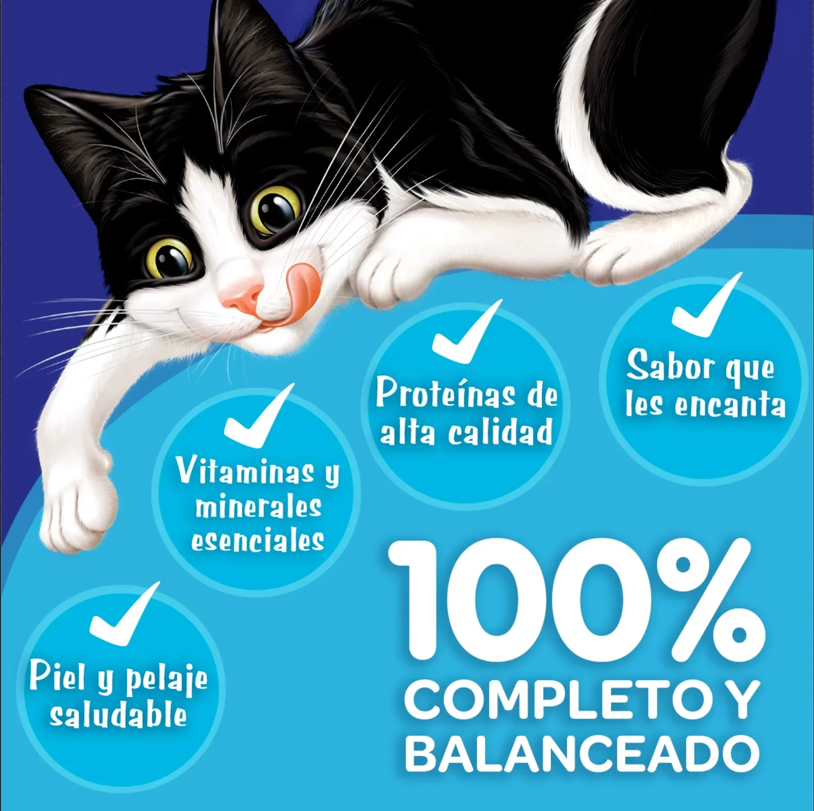 Imagen del producto 8