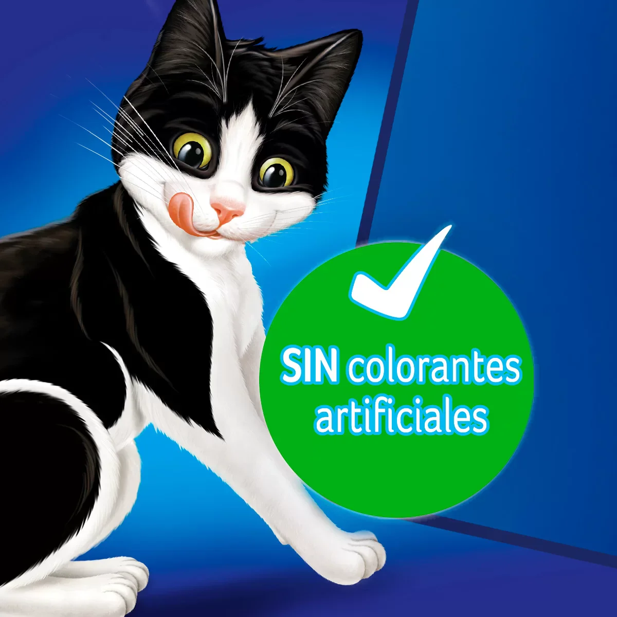 Imagen del producto 9