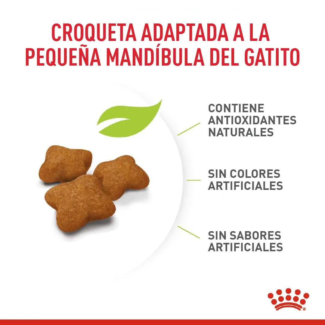 Imagen del producto 2