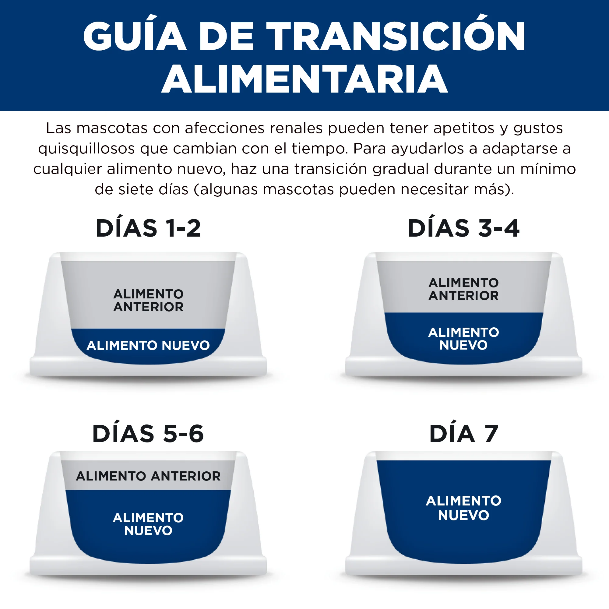 Imagen del producto 8