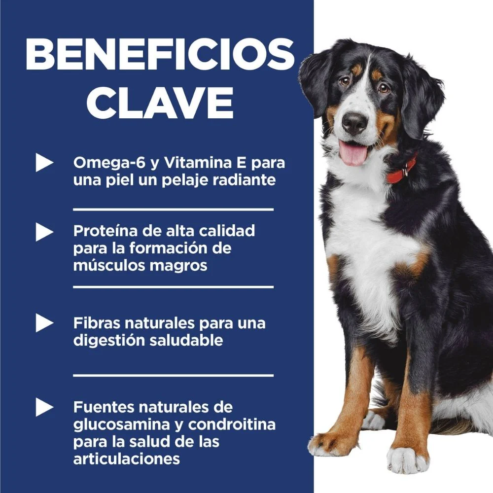 Imagen del producto 5