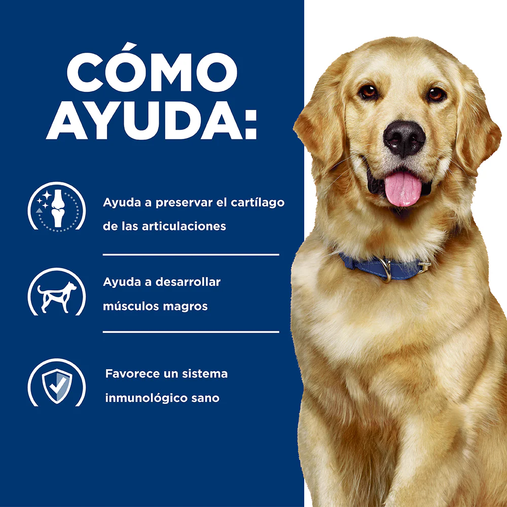 Imagen del producto 4